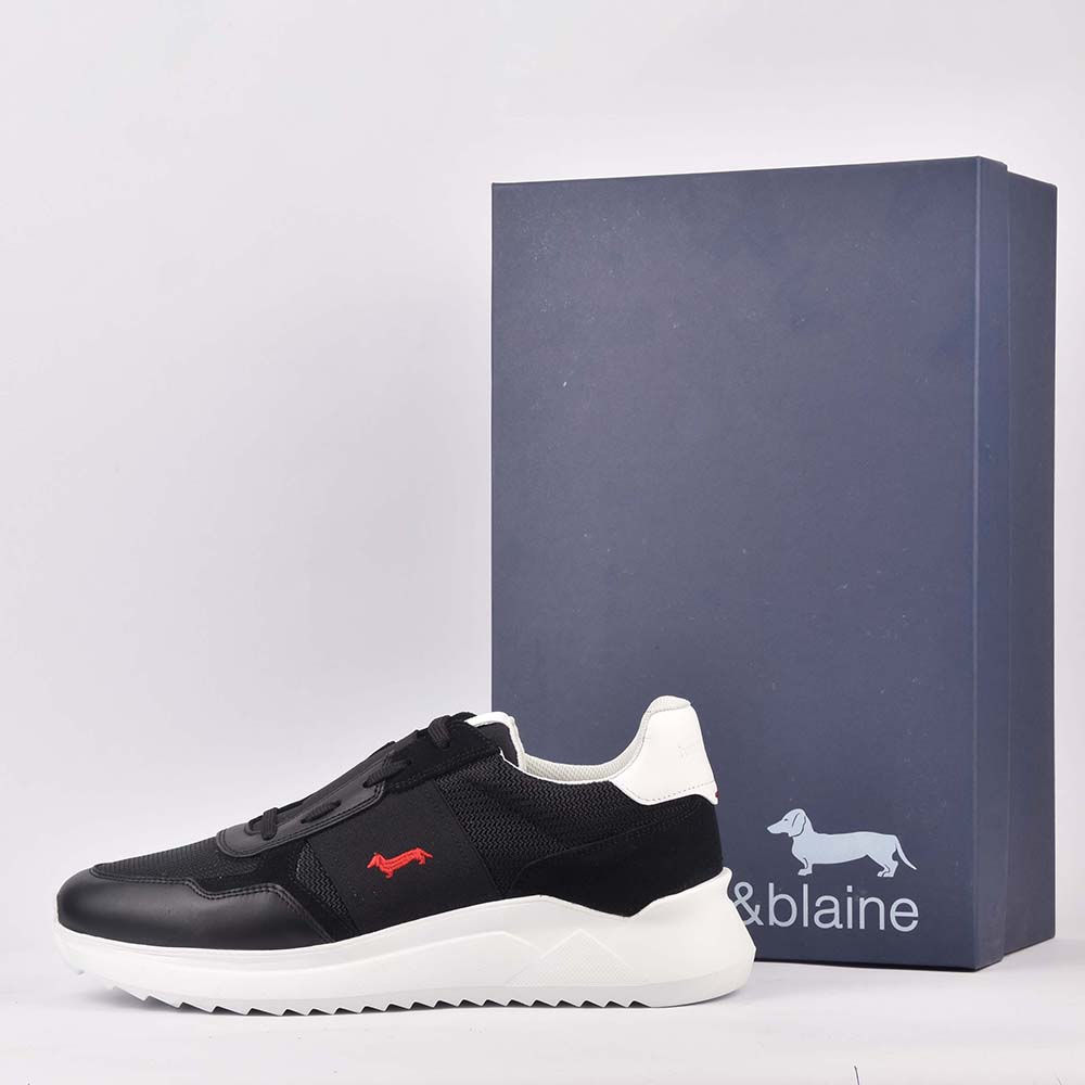 HARMONT AND BLAINE SCARPA UOMO CALF NERO – Image 2