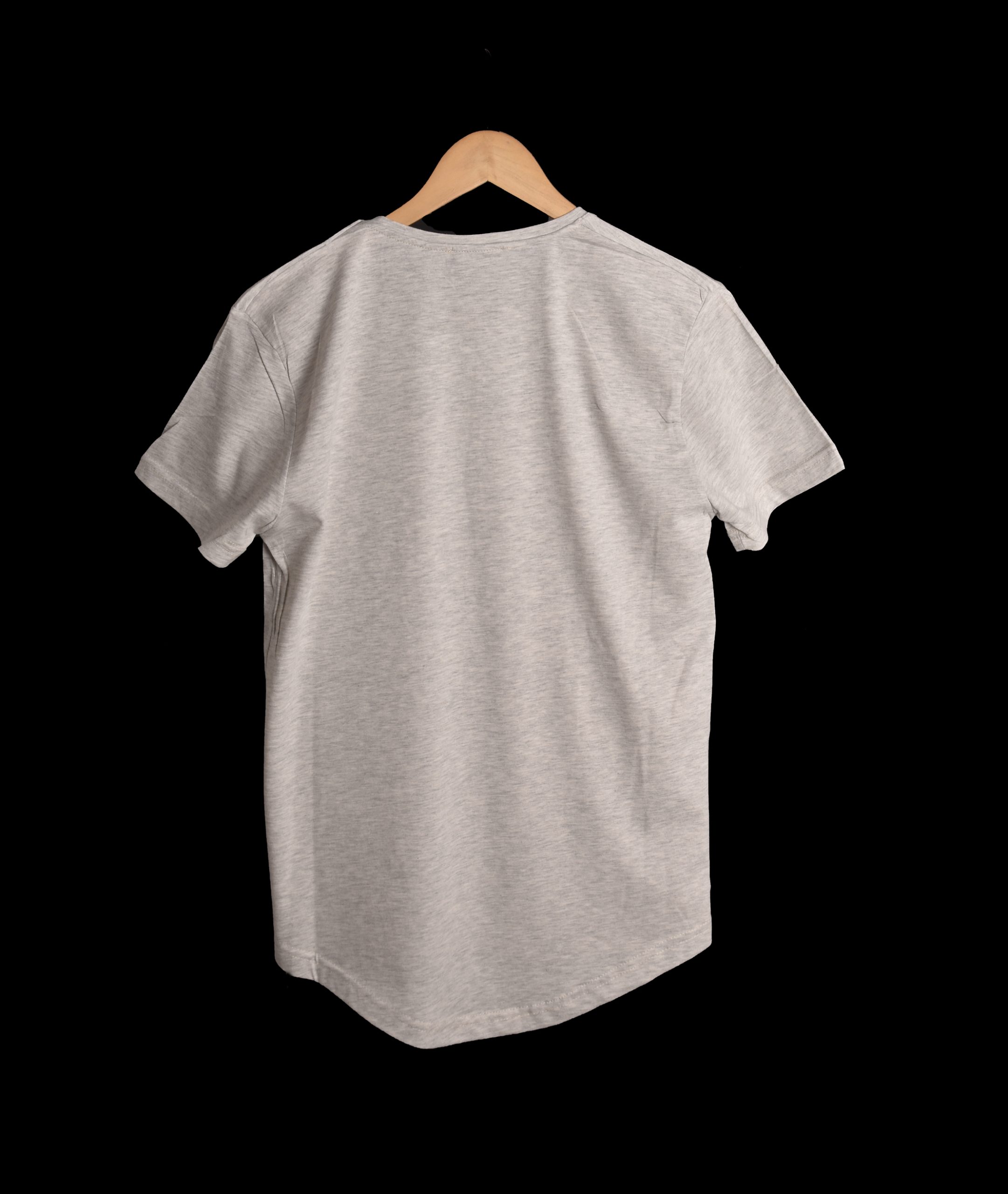 T-shirt GRIS 2 *THE NORTH REMEMBERS * – Image 2