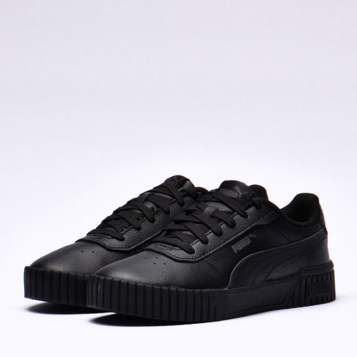 Puma carina 2.0