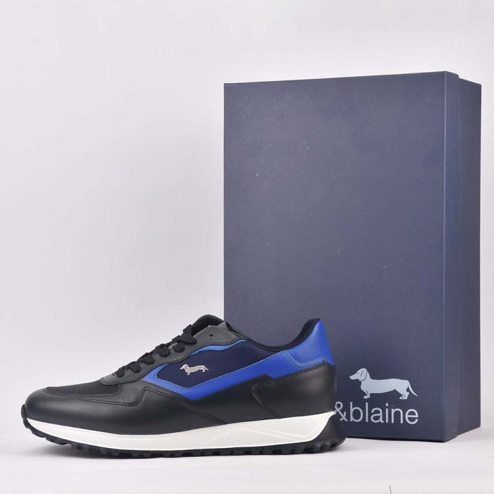 HARMONT AND BLAINE SCARPA UOMO BLU  ROYAL