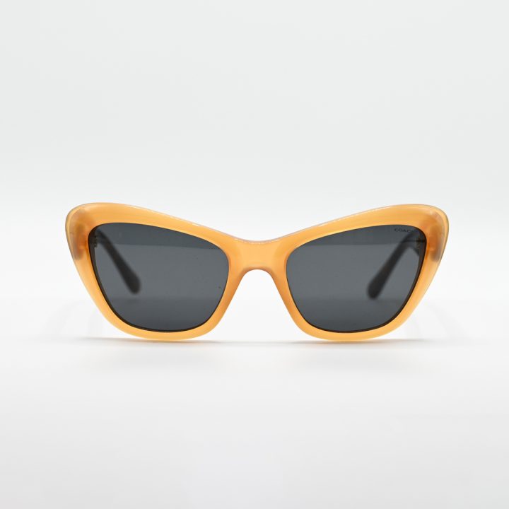 Coach HC8205 Square Sunglasses