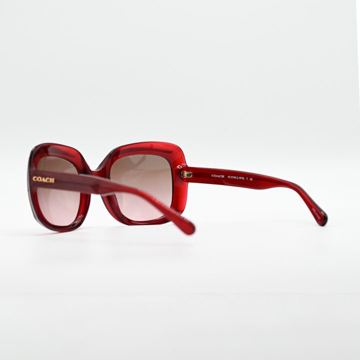Coach HC8194 Square Sunglasses